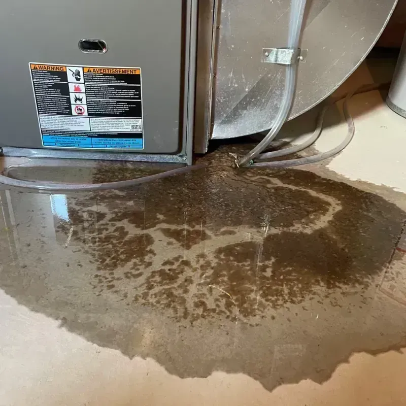 Appliance Leak Cleanup in Long Creek, IL